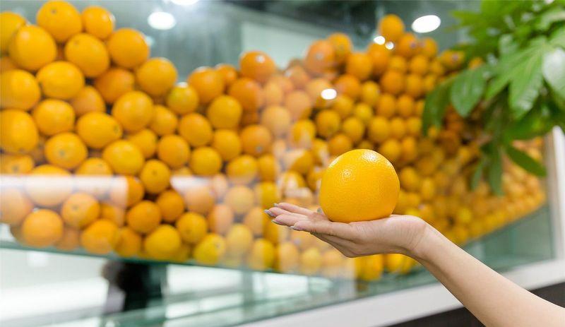 北京DayOne法律科技大楼丨中国北京丨艾迪尔-51