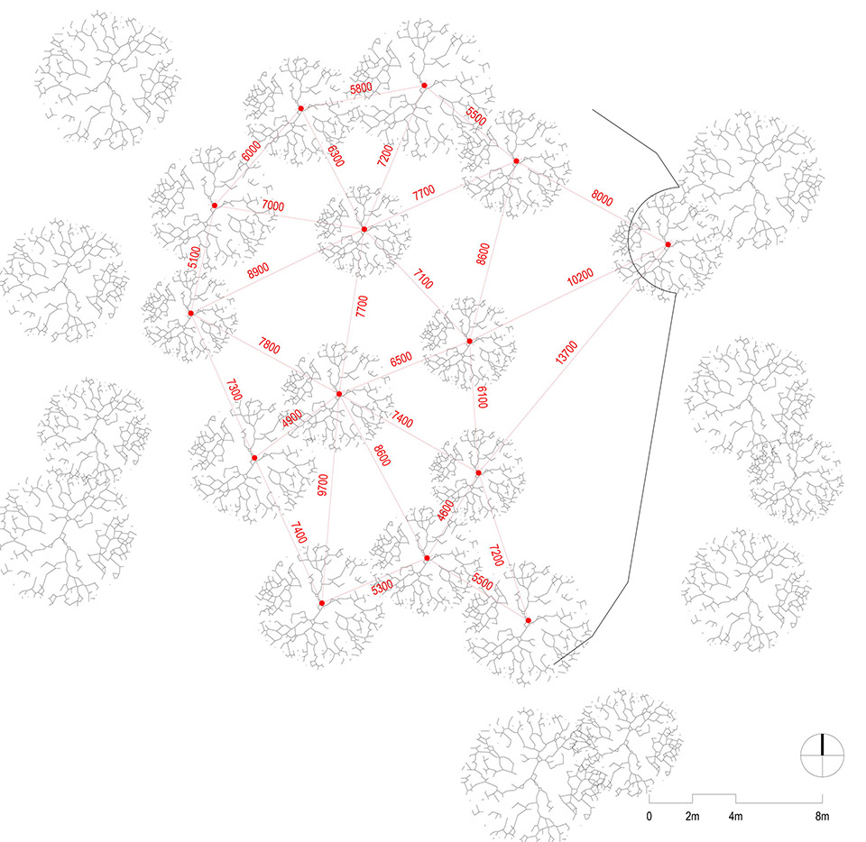 龙眼树下的院子丨中国泉州丨在场建筑-75