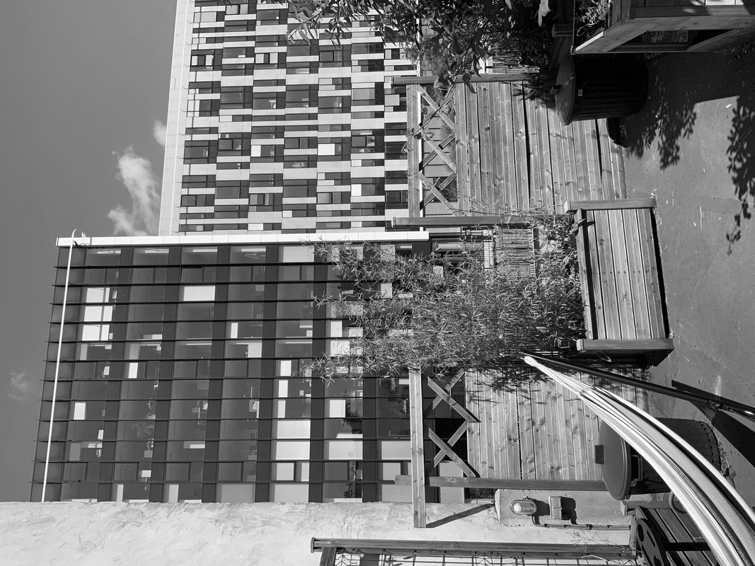 Pantin 80平方米露台与庭院设计丨法国丨Opus Paysage,Alexandre Tonnerre-15