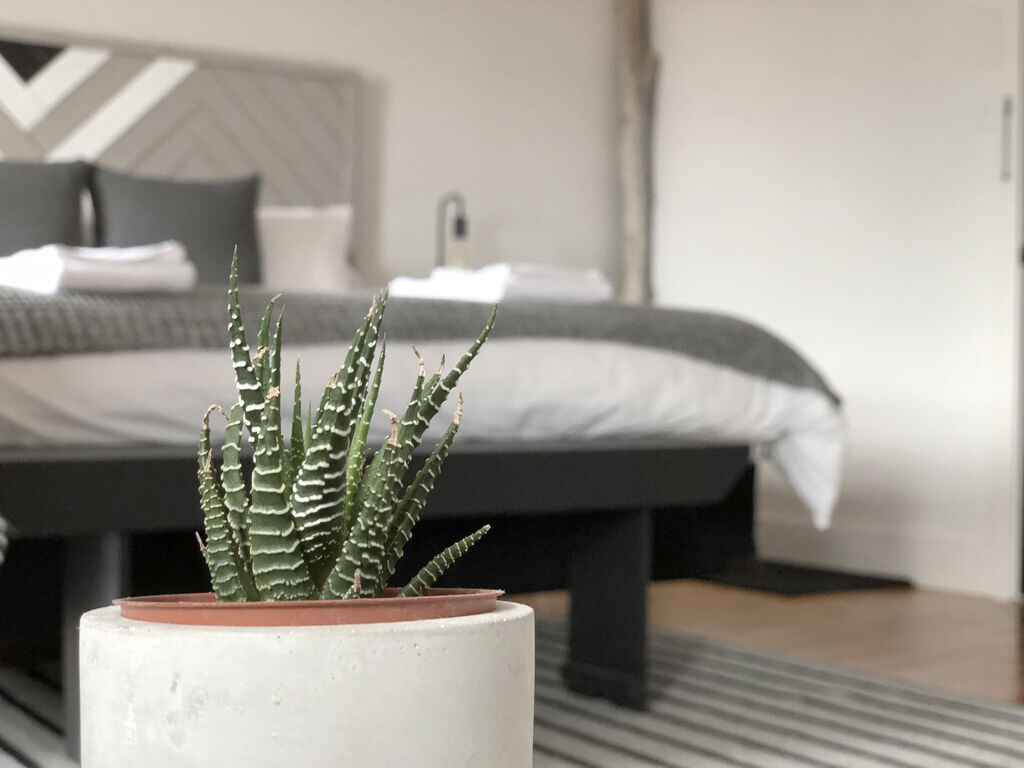 波西米亚风格的邓纳姆-10