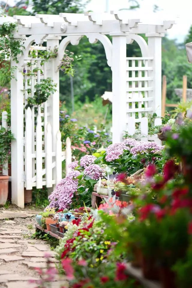 他建了座2亩的鲜花小院，满足你对花园的所有幻想-34