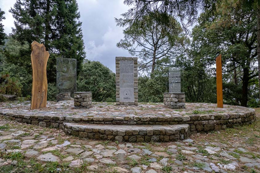 一座松树林中的公共纪念公园(Sensorium Park)丨印度丨Compartment S4-36