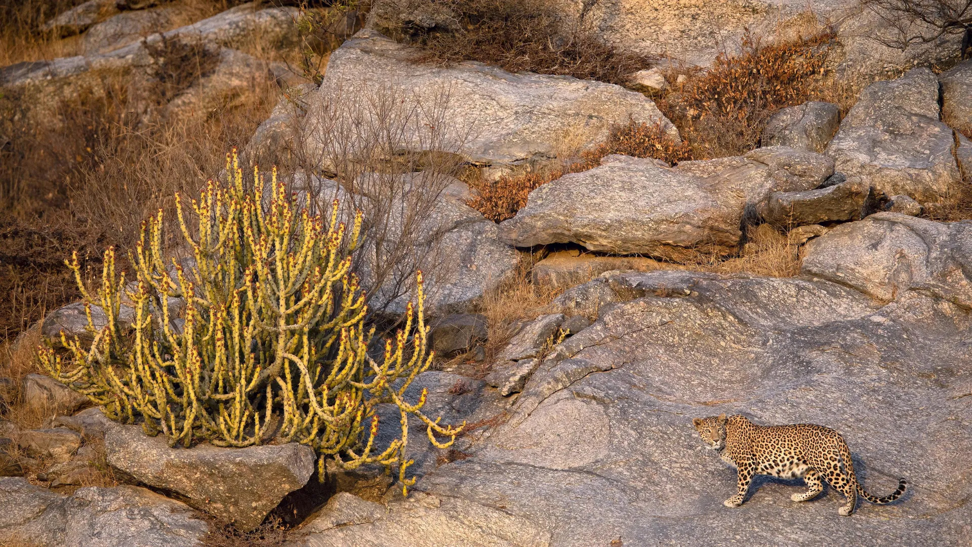 度假酒店丨西班牙阿拉瓦-21