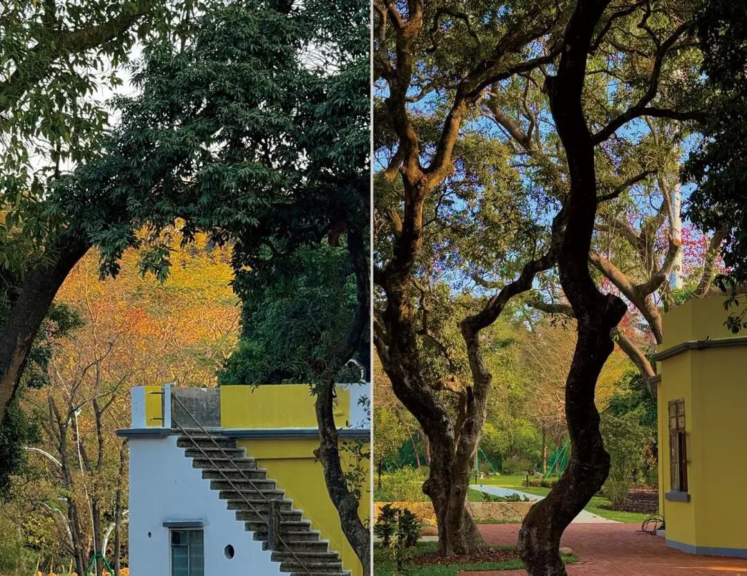 十一赏景别错过！华南国家植物园[绿美广东物种展示园]-73