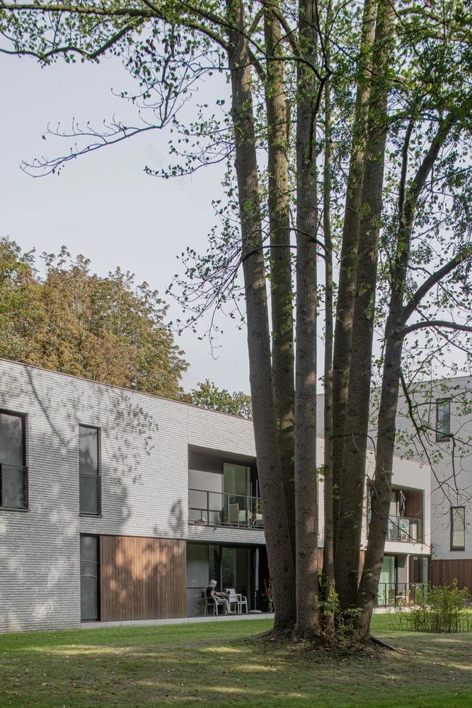 Vitápolis·老年公寓丨西班牙丨Romero Vallejo-117