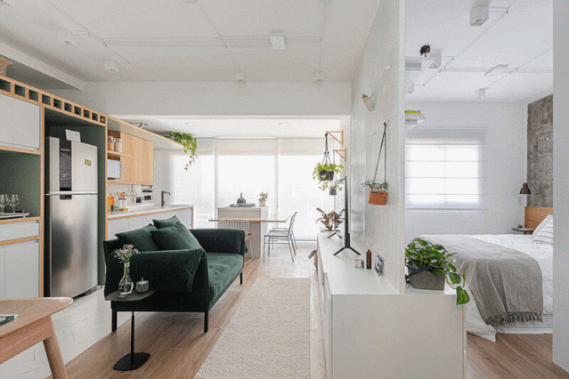 巴西 38㎡绿意小公寓,紧凑实用空间利用-2