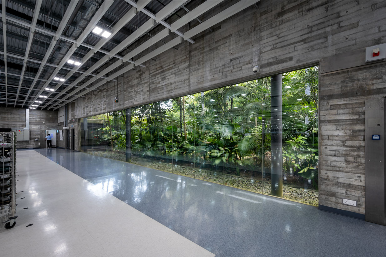 槟城森林中的工厂丨马来西亚槟城-20