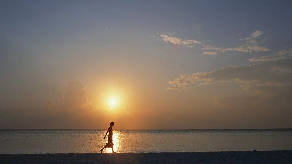 阿那亚D4项目-19