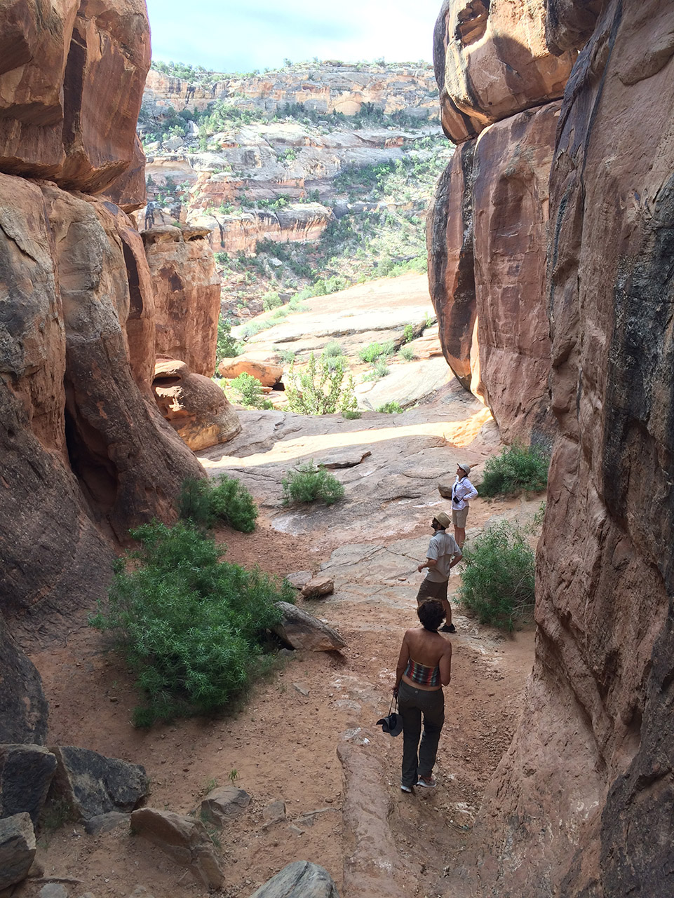 纽约理查德·吉尔德科学中心丨美国纽约丨Studio Gang-129