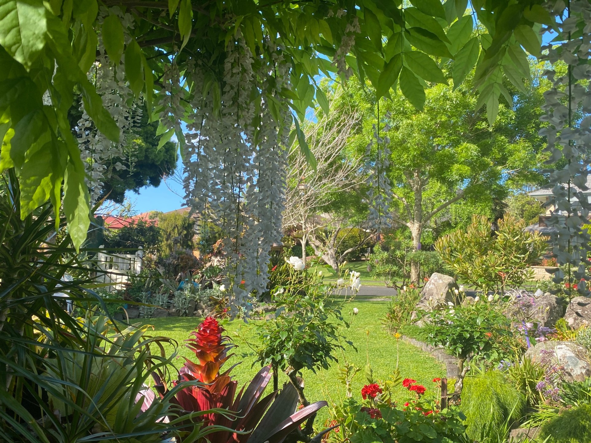 TwoConnect私人花园丨New ZealandAuckland丨Mary和Mark Jones-4