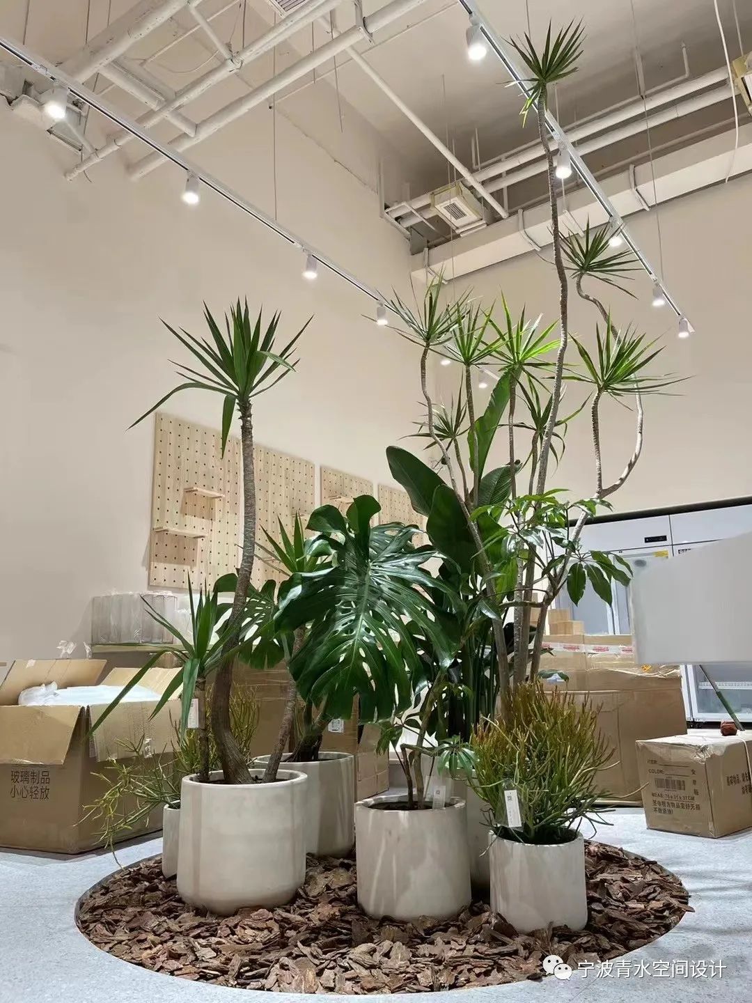 【青水案例】——晓花城宝龙店-44