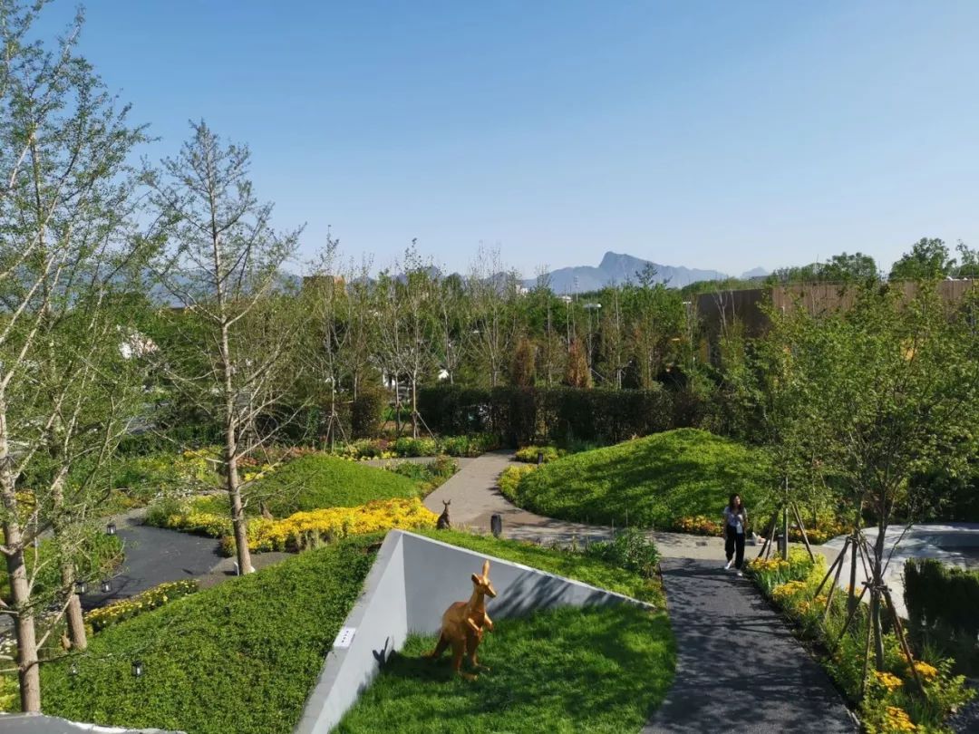 世园会澳大利亚园丨中国北京-65