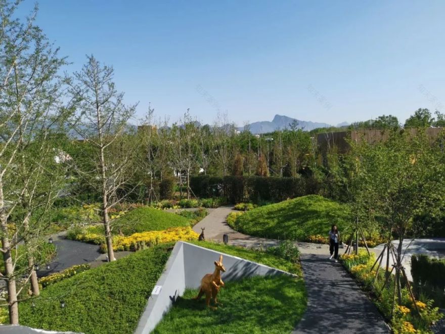 世园会澳大利亚园丨中国北京-65