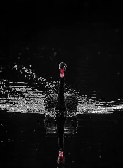 广东利和金汇餐厅 | 诗意山水与现代演绎的完美结合-26