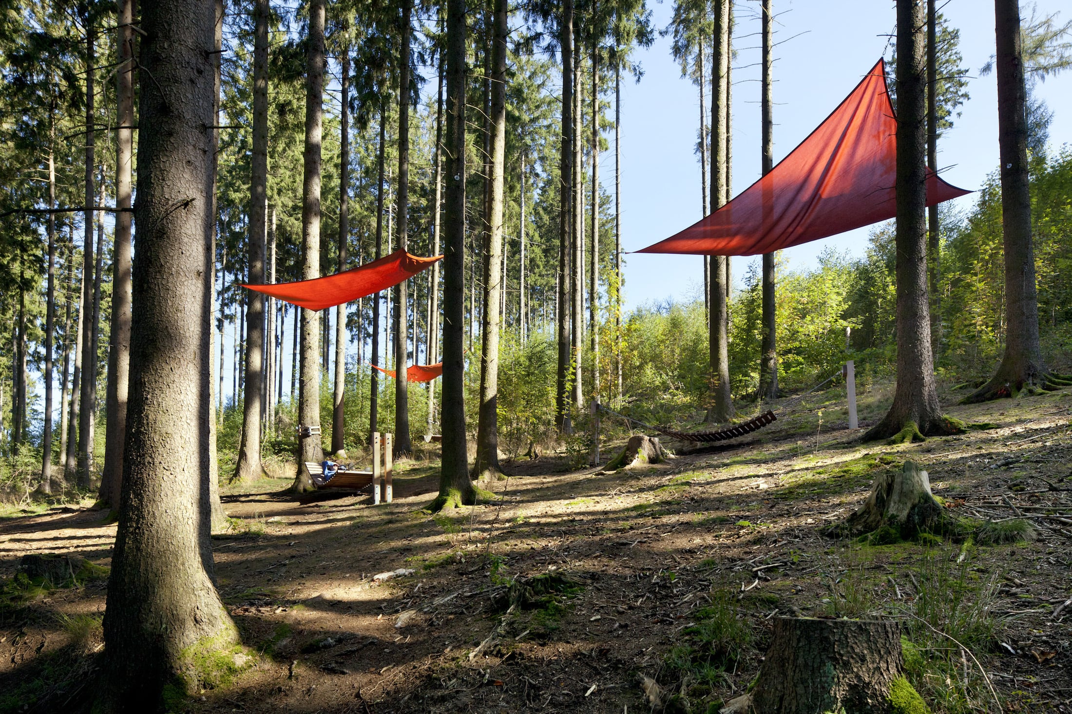 德国布里隆景观疗养公园 · 融入自然的情感疗愈-16