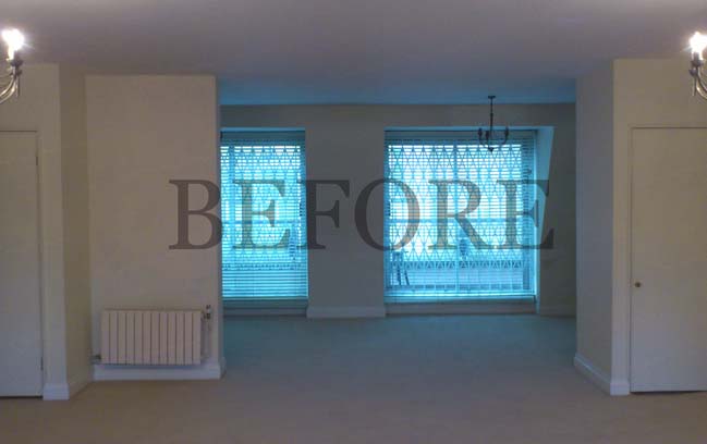 旧公寓改豪华顶层公寓丨Daniel Hopwood Studio-12