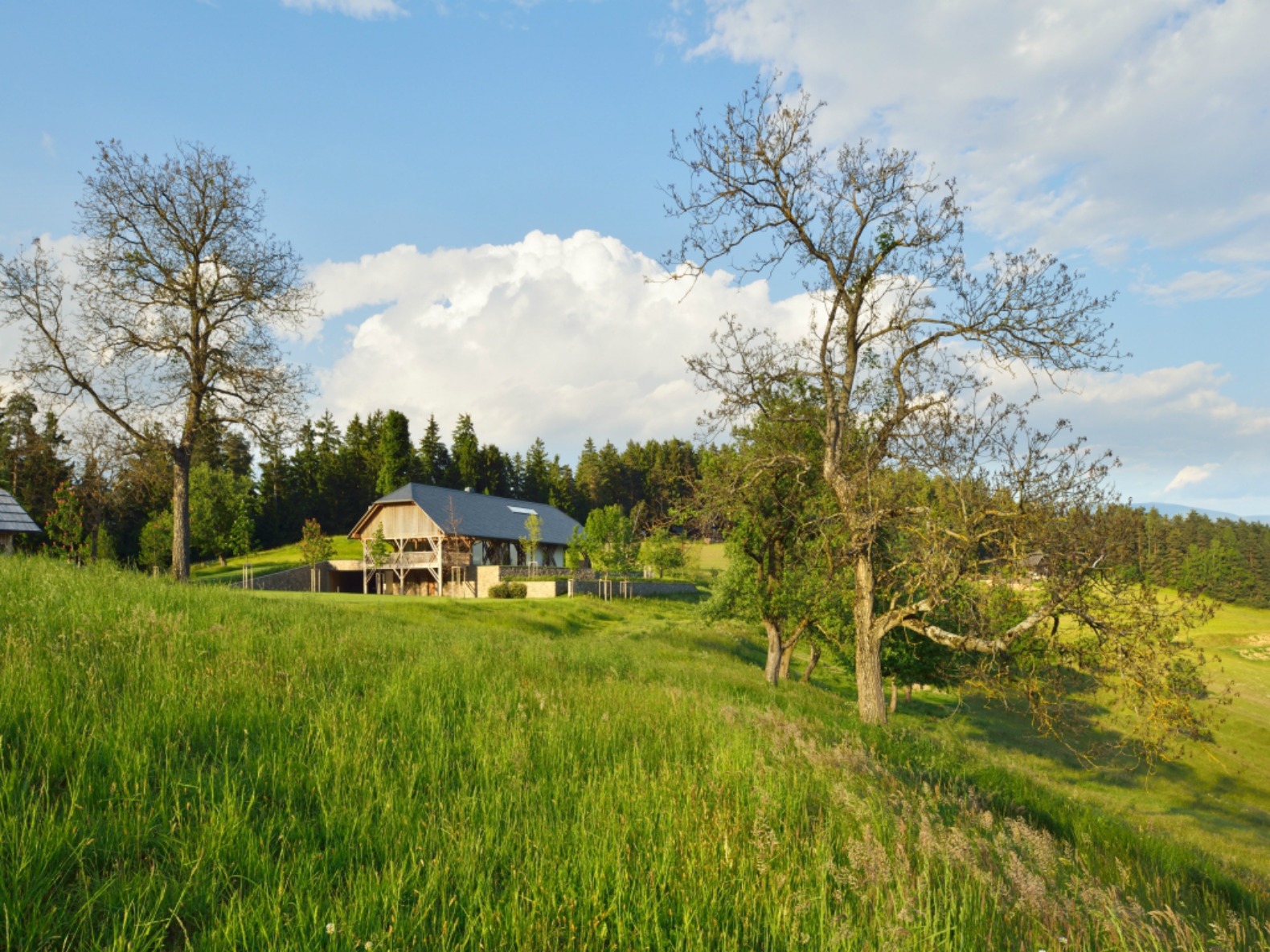 Old Barn Converted into a Contemporary House by Styria Arhitektura-3