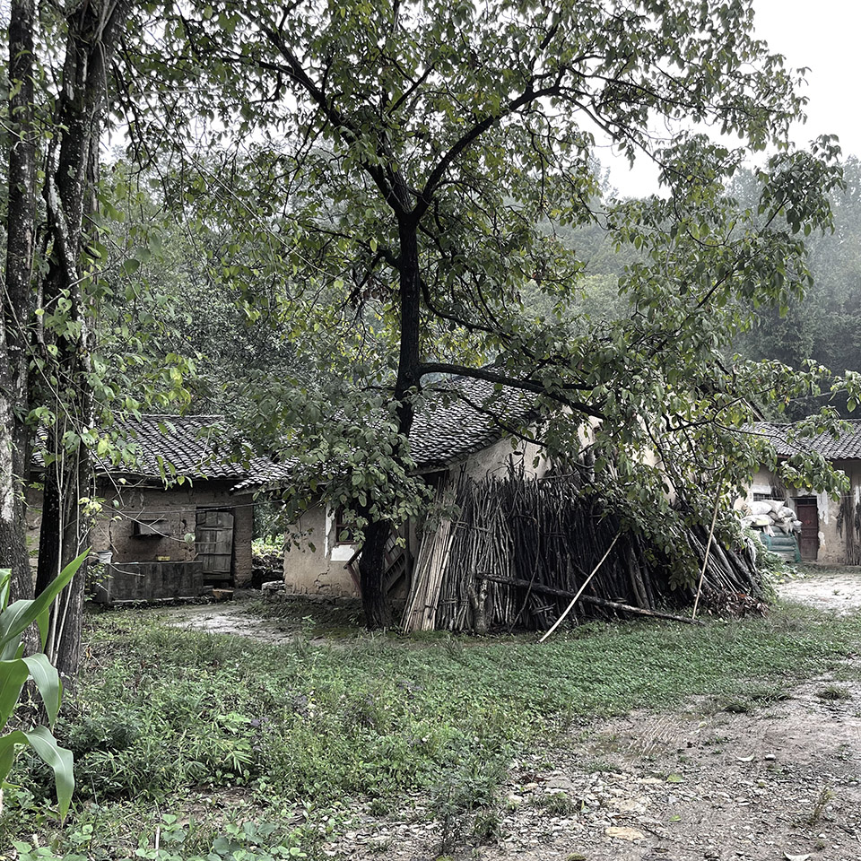 陕西汉中欢喜山森林生活公园丨中国汉中丨为至工作室-158