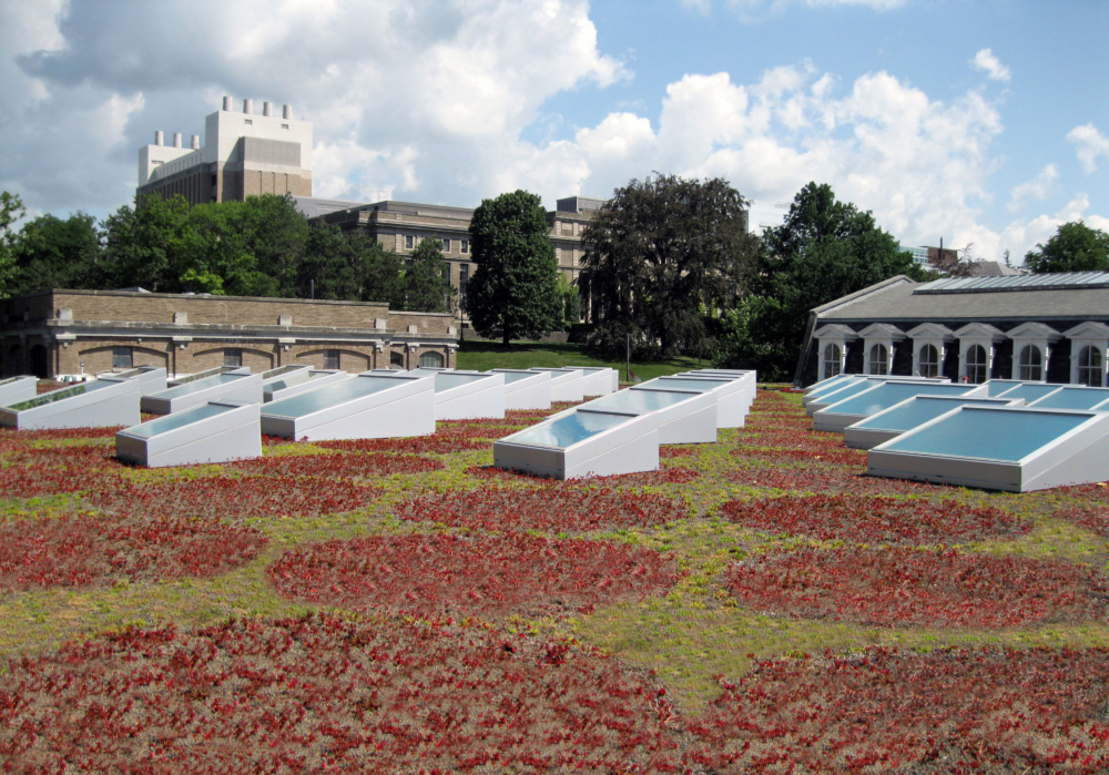 
          Cornell University Milstein Hall - SCAPE      -5