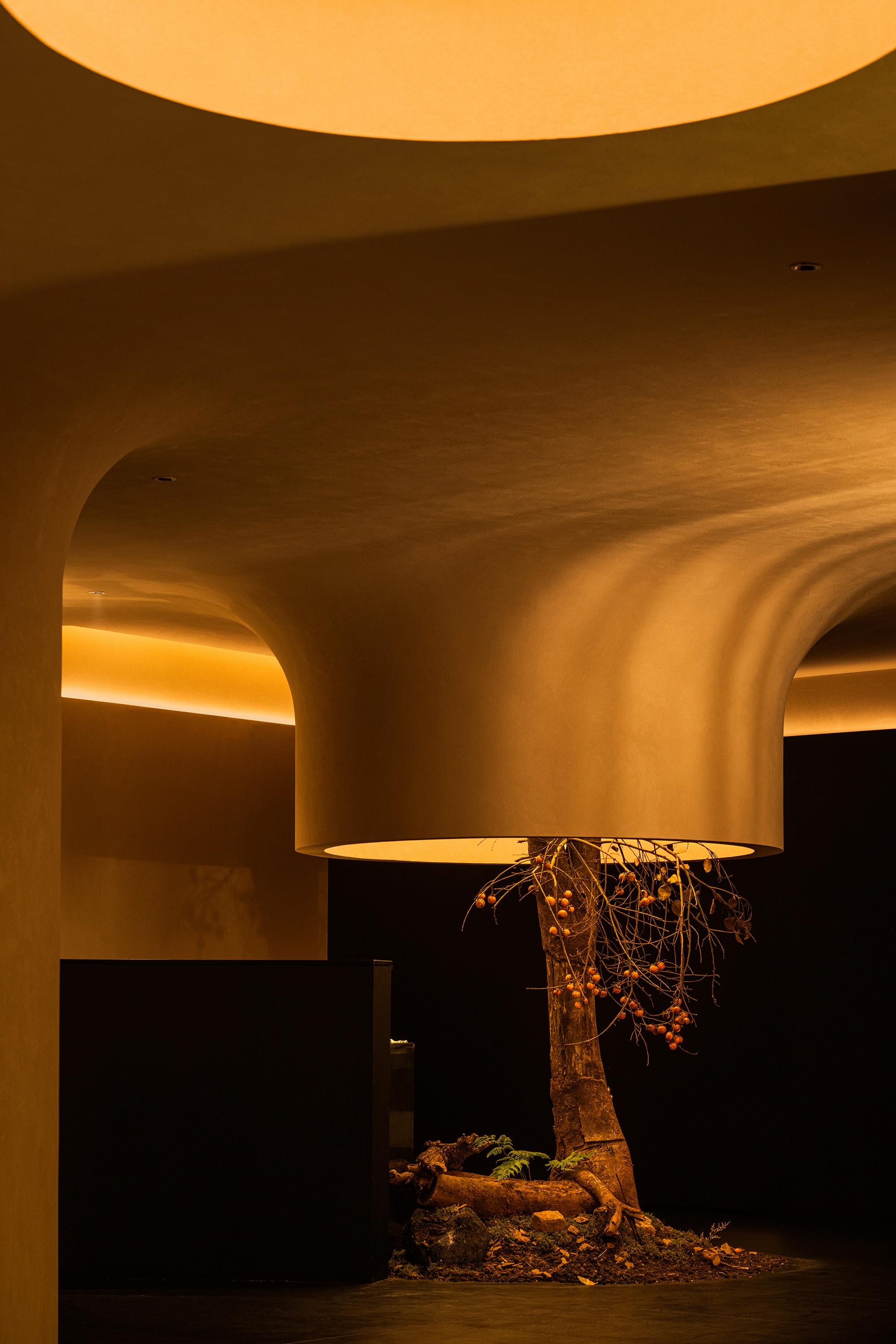 浅予 SPA · 潜木设计-37