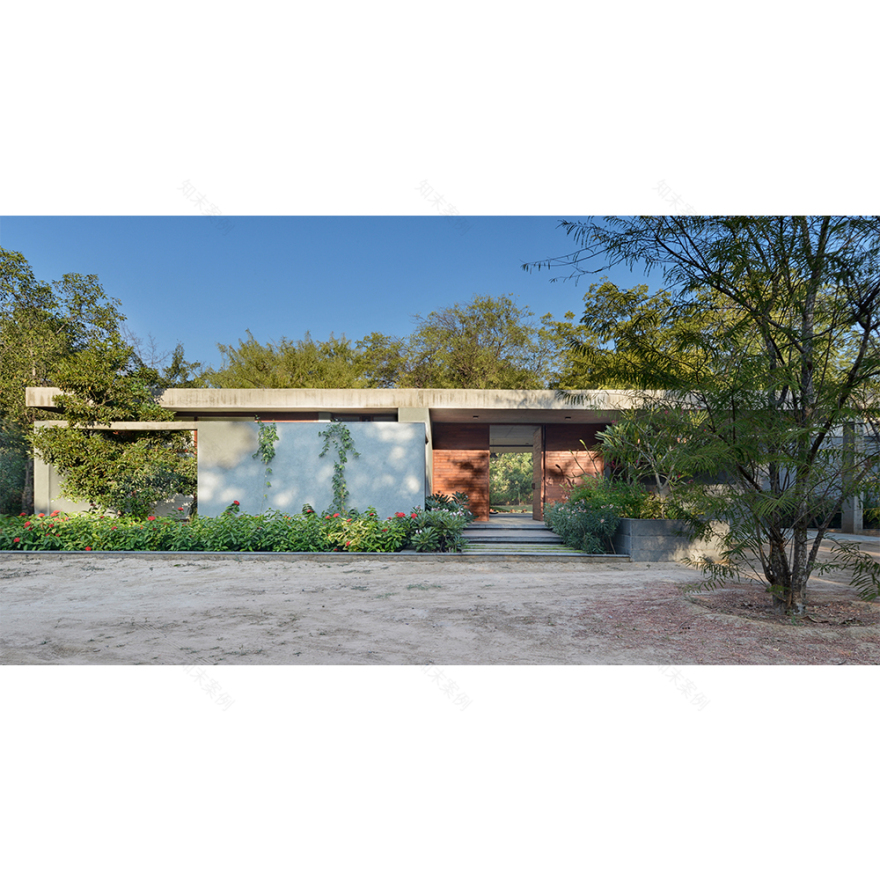 the house by the trees-6