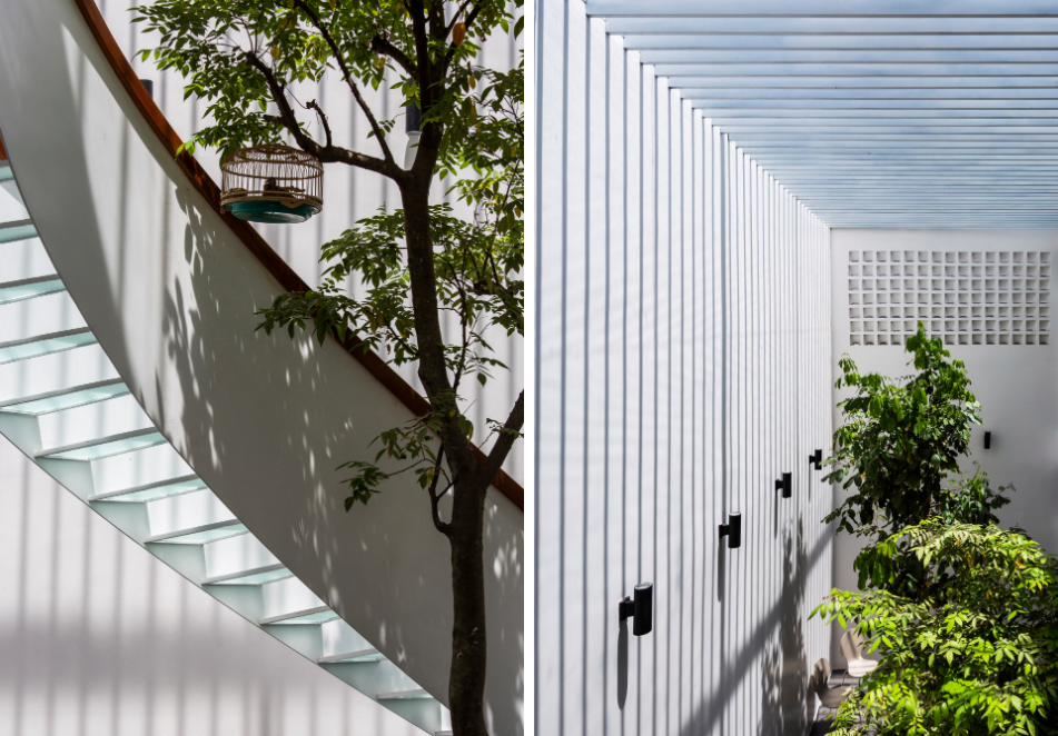 越南 T 住宅 | 花园联系私密空间的三口之家-32