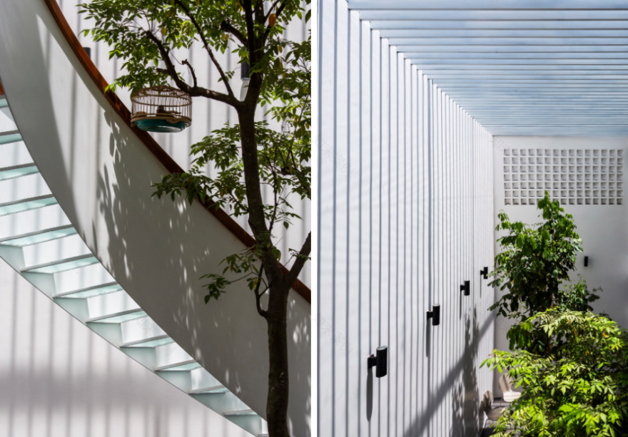 越南 T 住宅 | 花园联系私密空间的三口之家-32