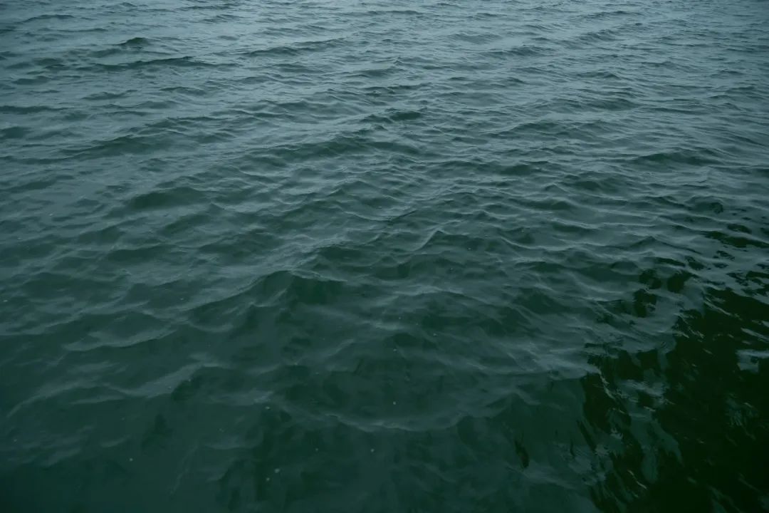 一尺花园（龙湾度假区店）星空屋民宿-169