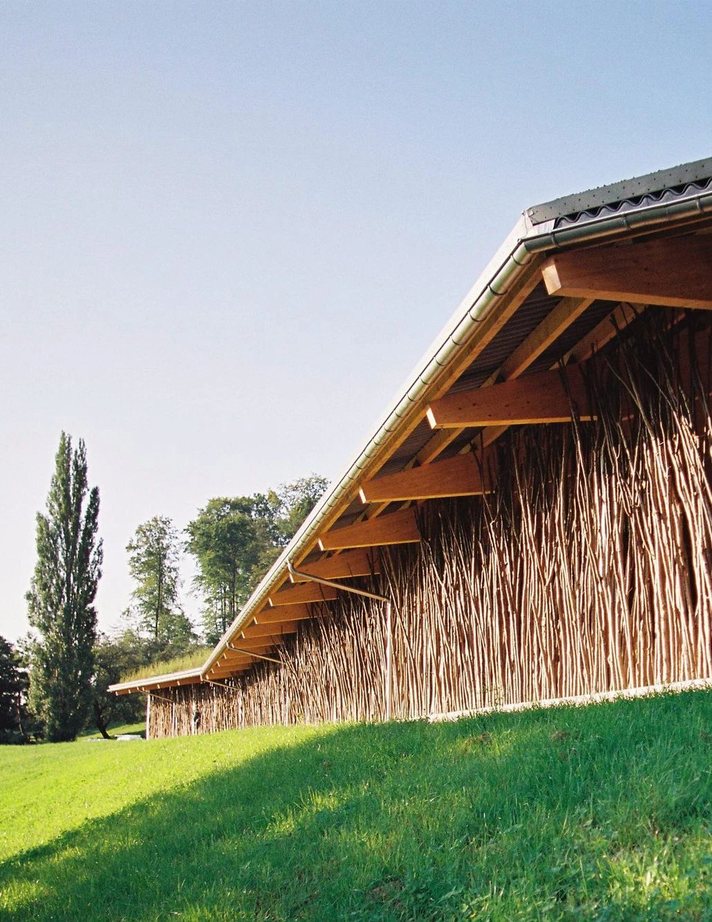 鸡舍丨土耳其埃尔津詹丨SO? Architecture and Ideas-101