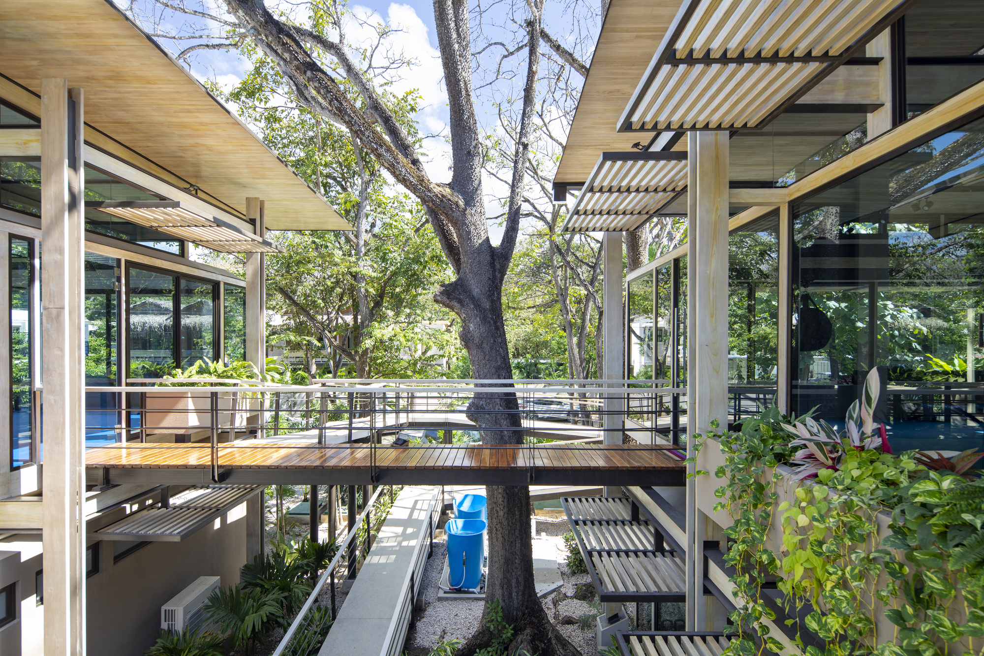 Costa Rica Athletic Center / Studio Saxe-12