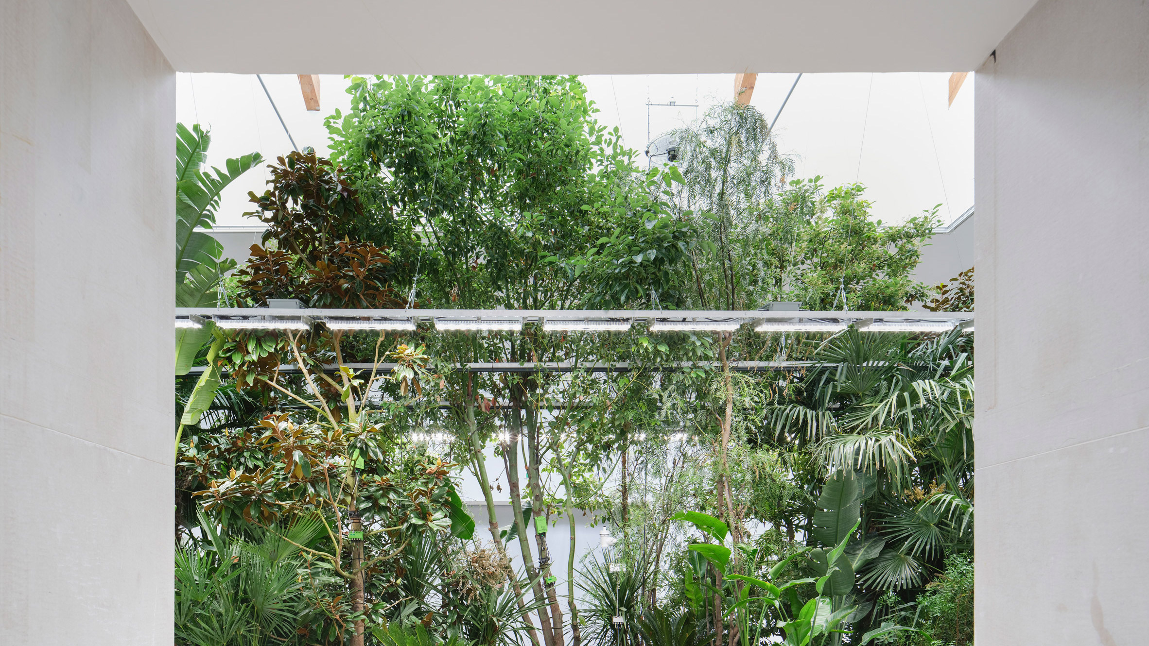 比利时馆“Building Biospheres”丨法国尼斯-0