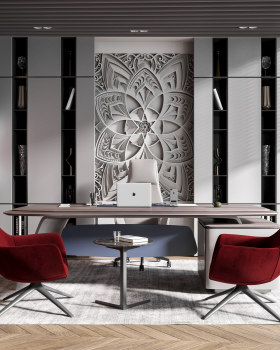 Laser Gallery CEO office