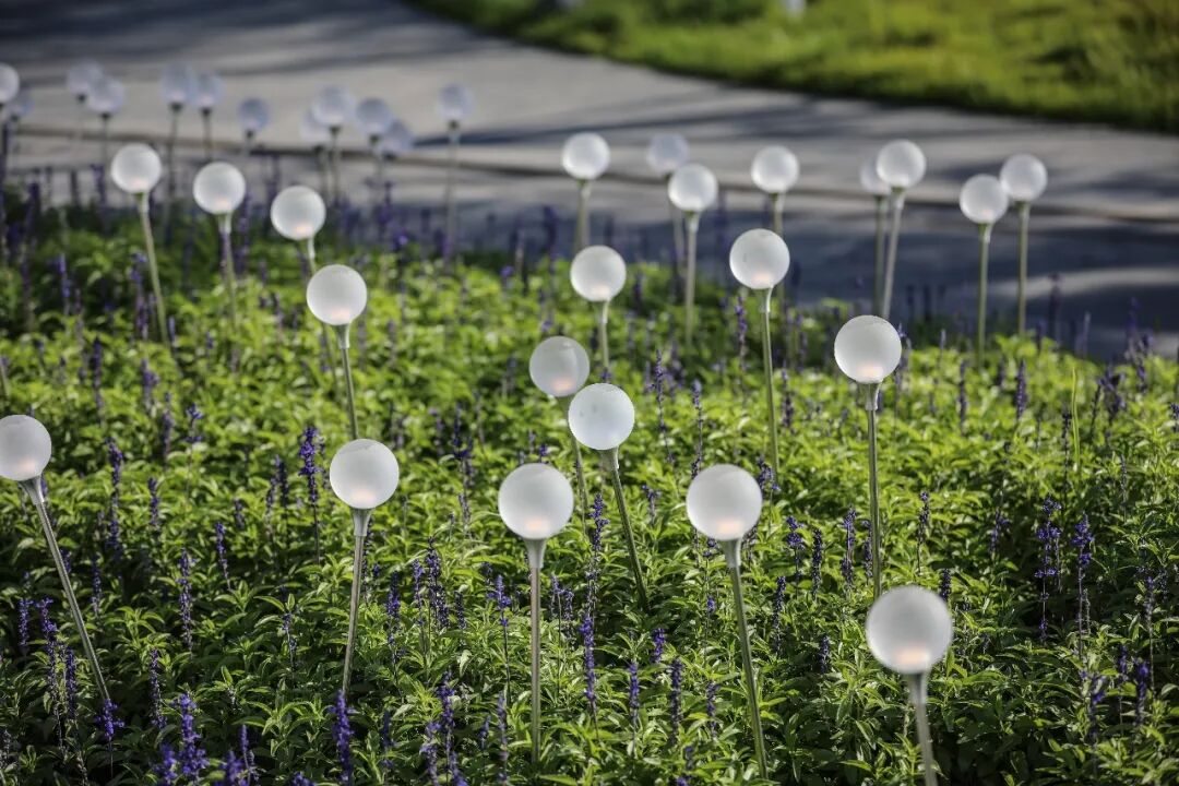 转角遇见暖意，冰城的一抹新绿 万科鲸鱼悦府丨中国哈尔滨丨ZAP ASSOCIATES-84