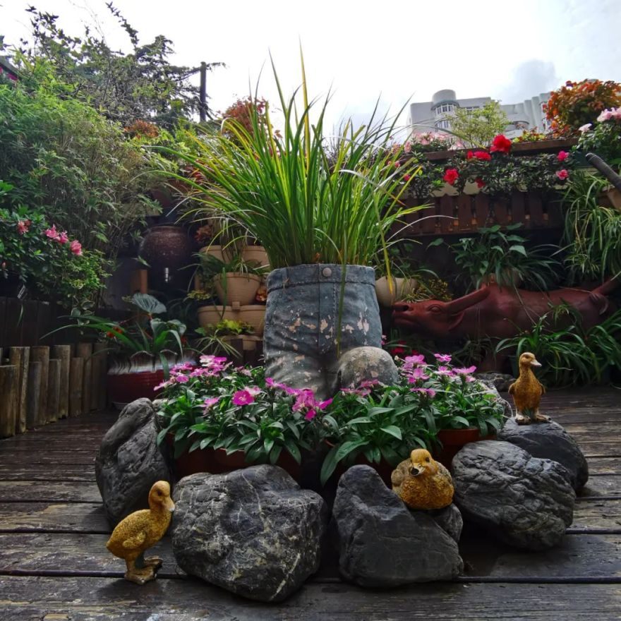 独居匠心,她把仅有10多㎡的小露台打造成成上海十佳“美丽阳台”之一!-27