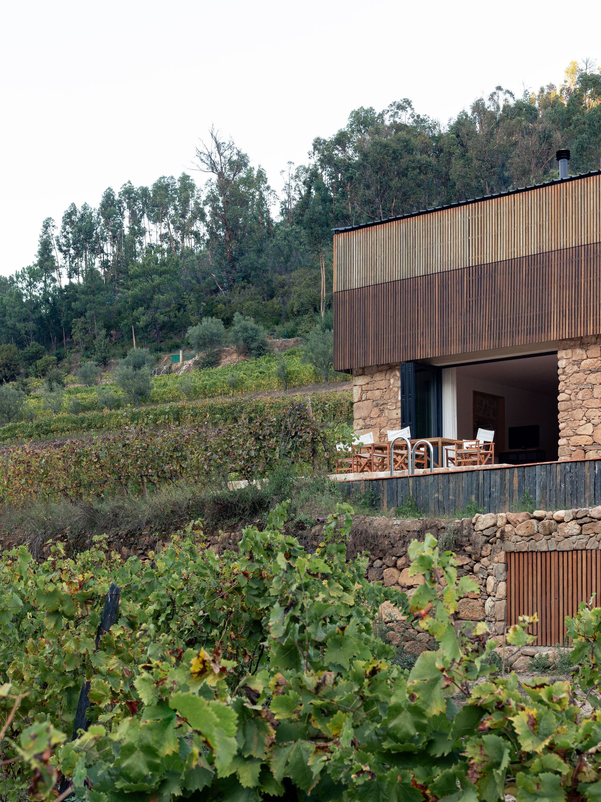 拉加尔宅邸丨Colajj-25