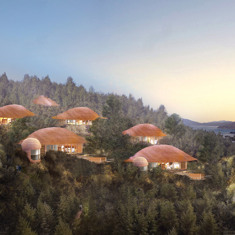 Forest Villa 度假酒店丨日本广岛丨中村拓志-4