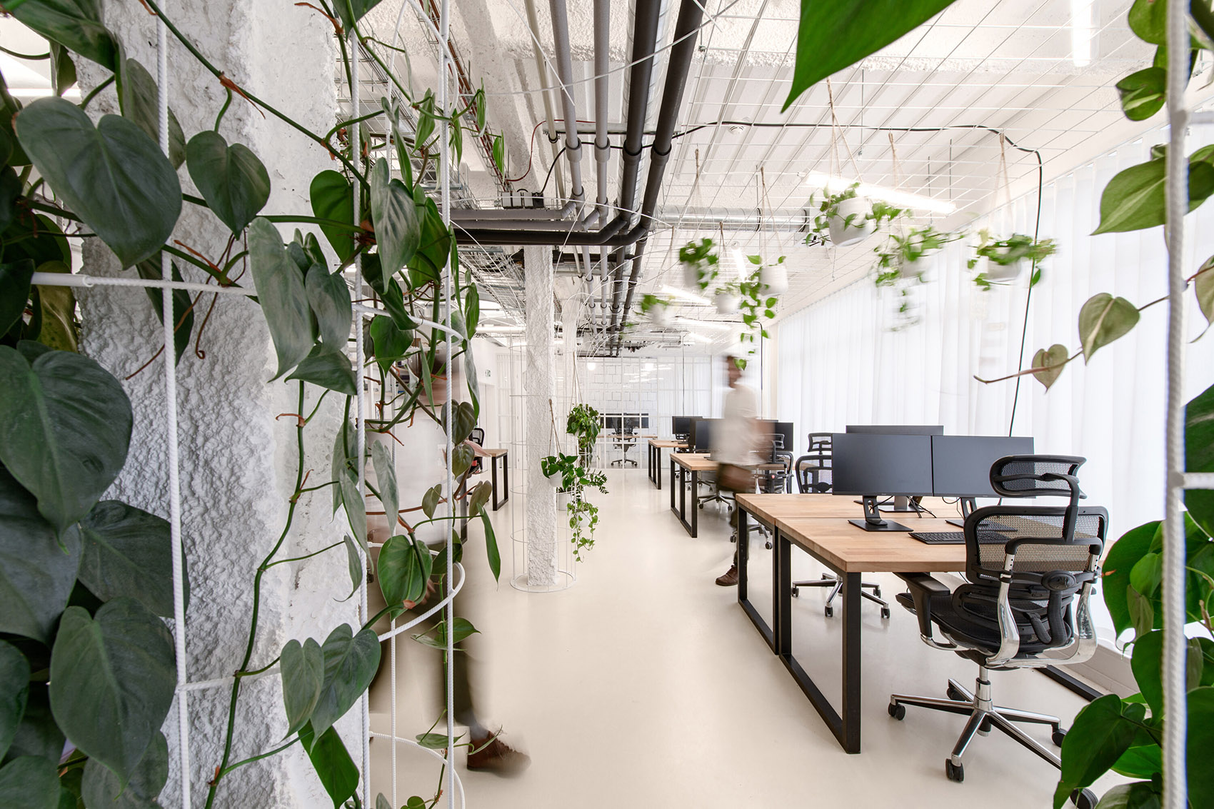 Czech Promotion 办公室改造丨捷克丨KURZ architects-3