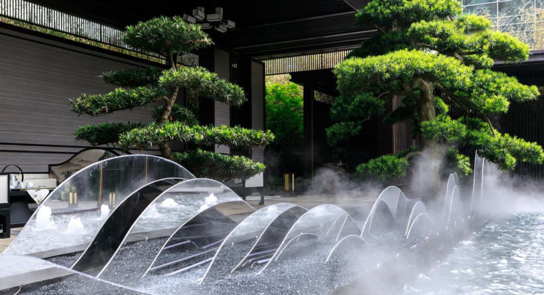 中梁首府 | 山水雁荡，温商勇攀高峰-52