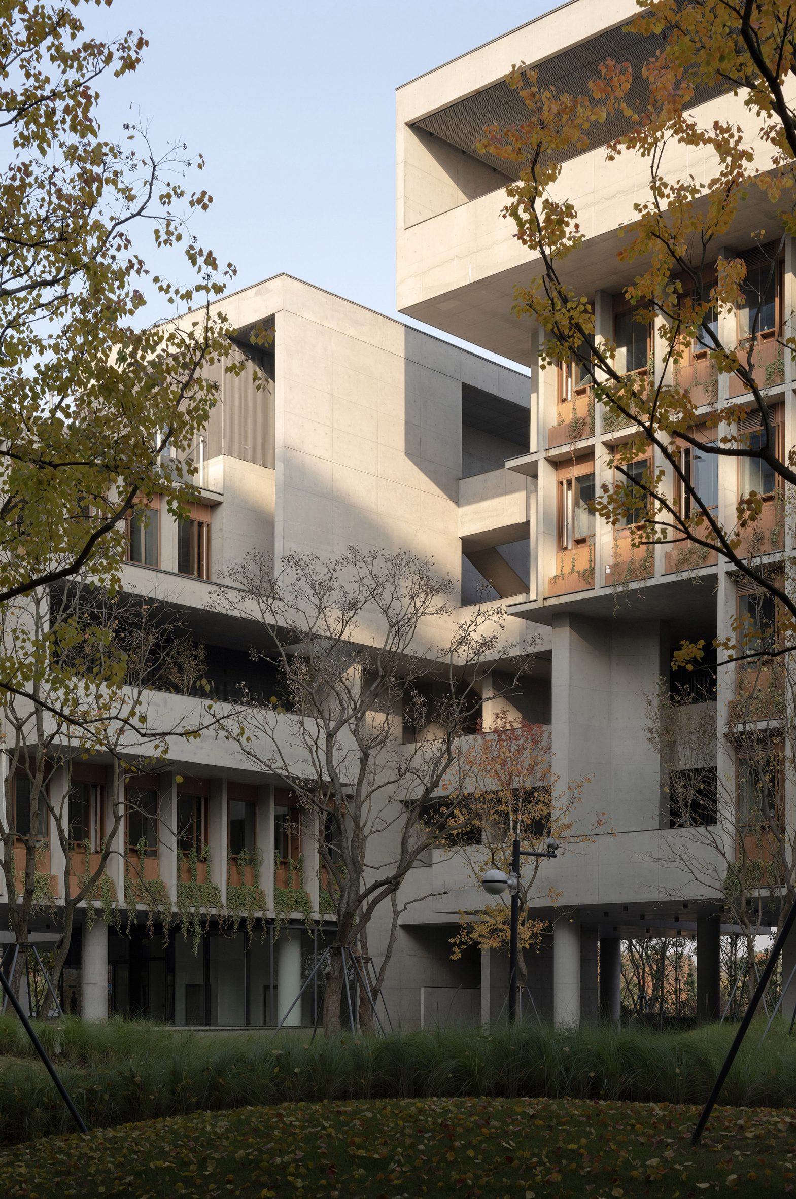 Vector Architects 打造中国成都漂浮总部，绿色庭院与空中连廊交织-8