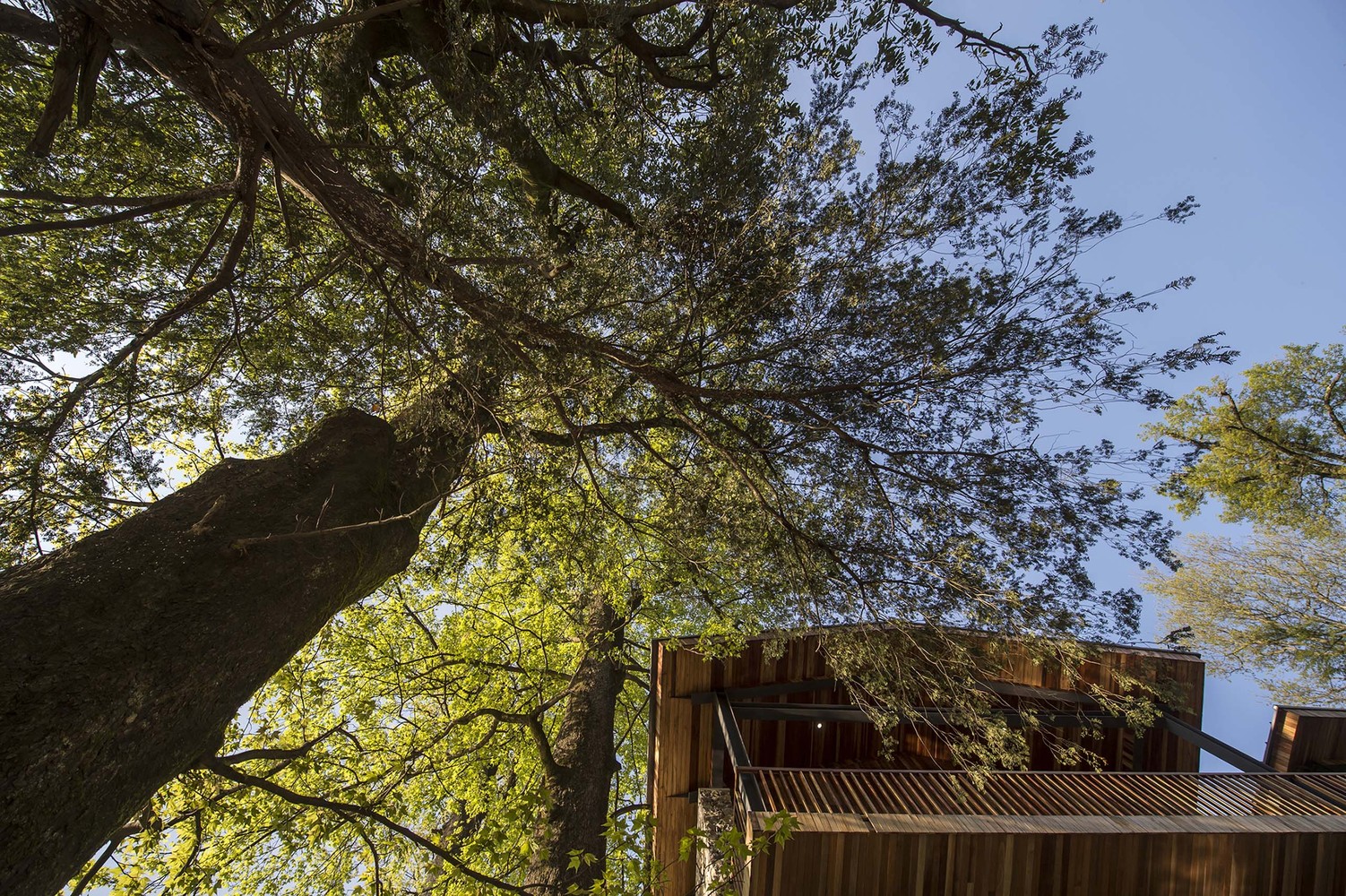 山水之间，世外桃源——松阳原舍民宿-63