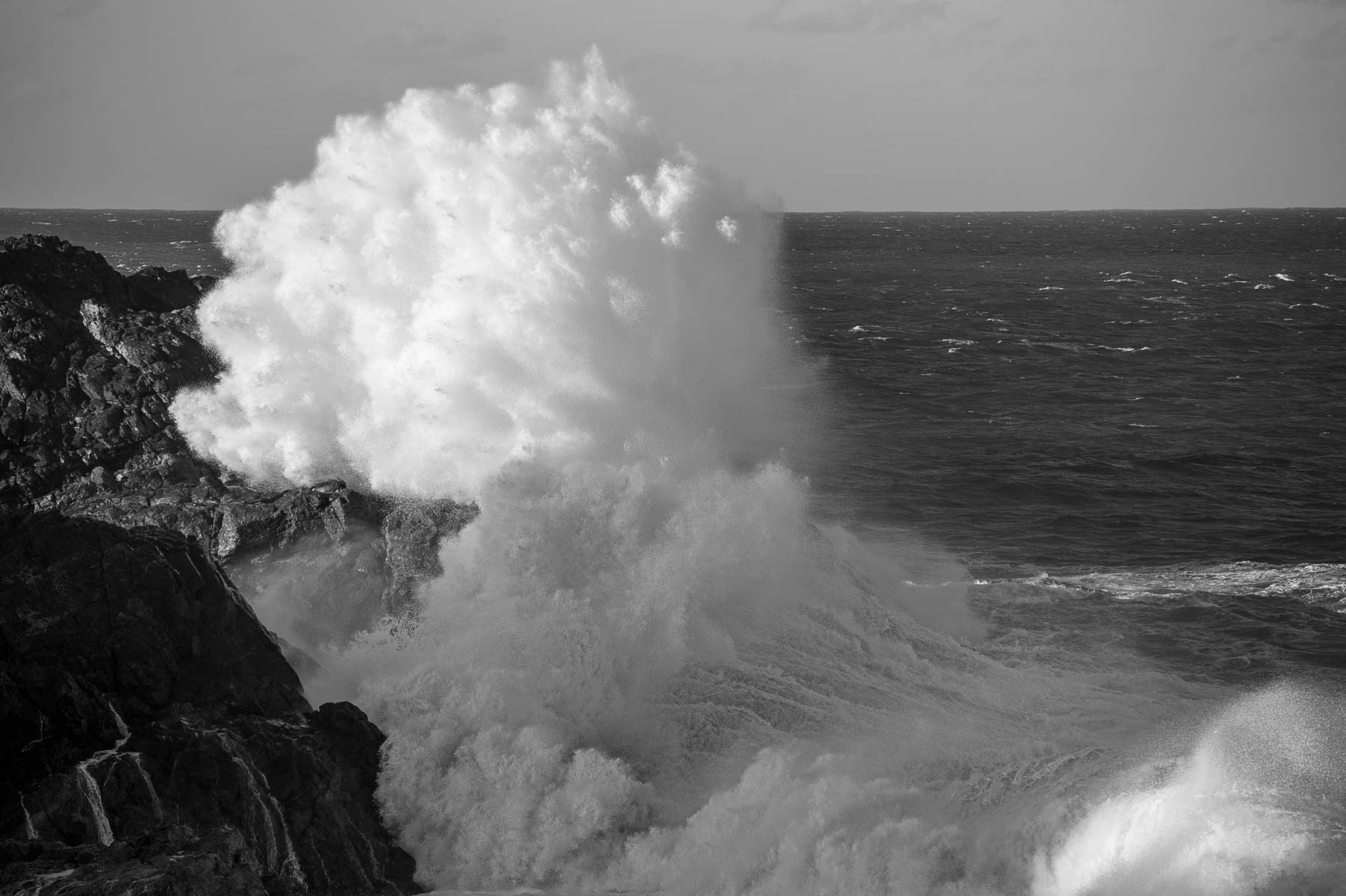 Sea Swell - Biripi Country-4