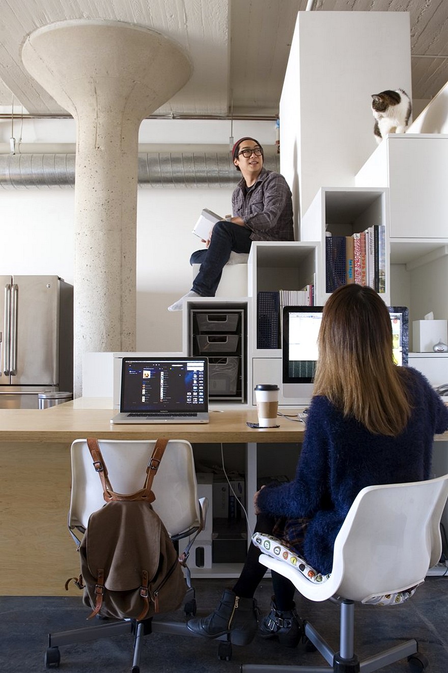 Toy Loft in Los Angeles / CHA:COL-15