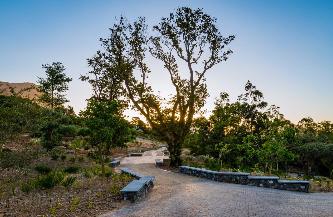 南非阿普尔加思庄园-34