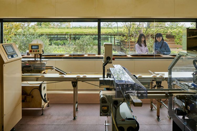 Laboratory Under The Crop Field-20