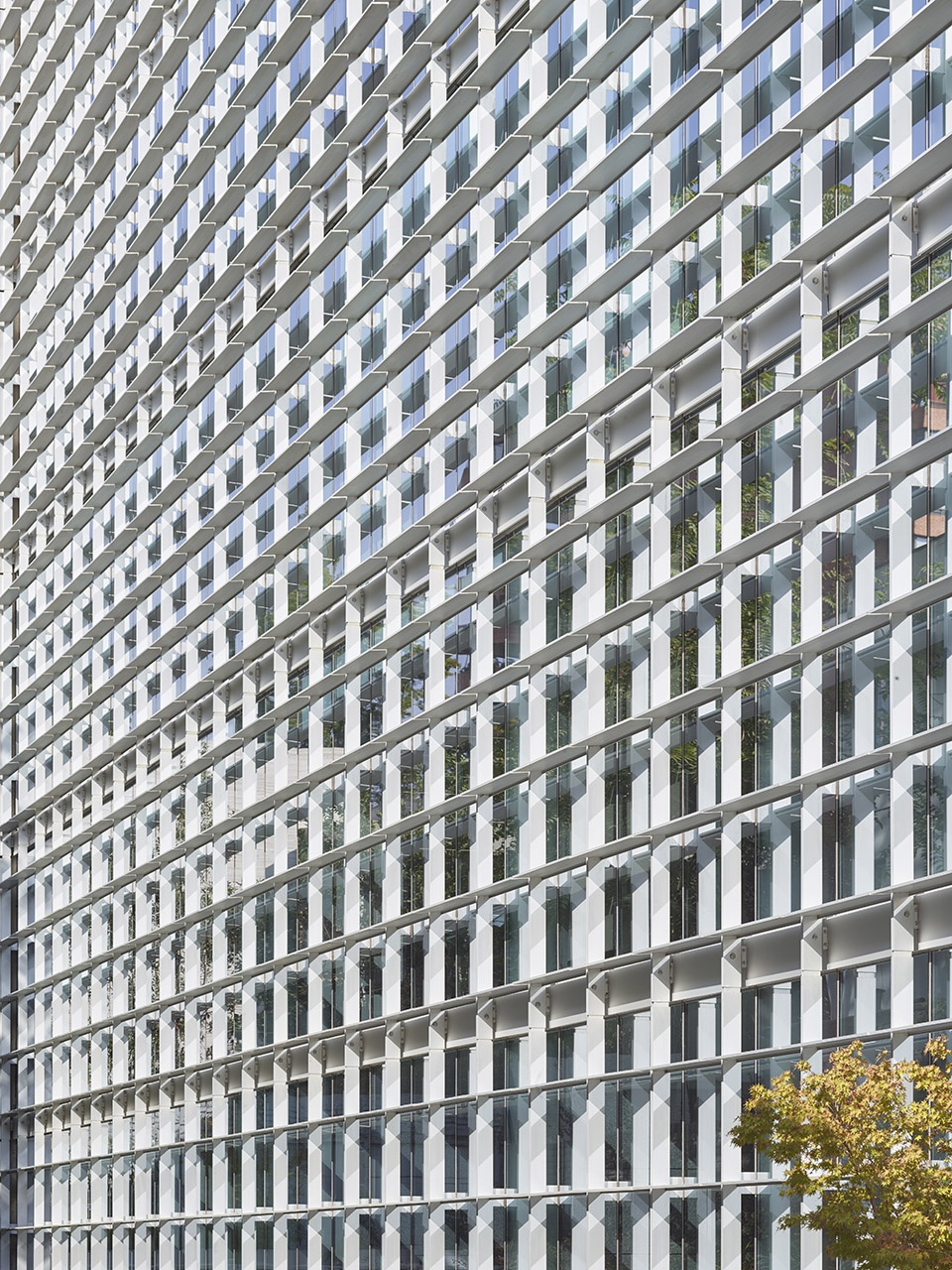 智利 Vespucio 1777 大楼-19