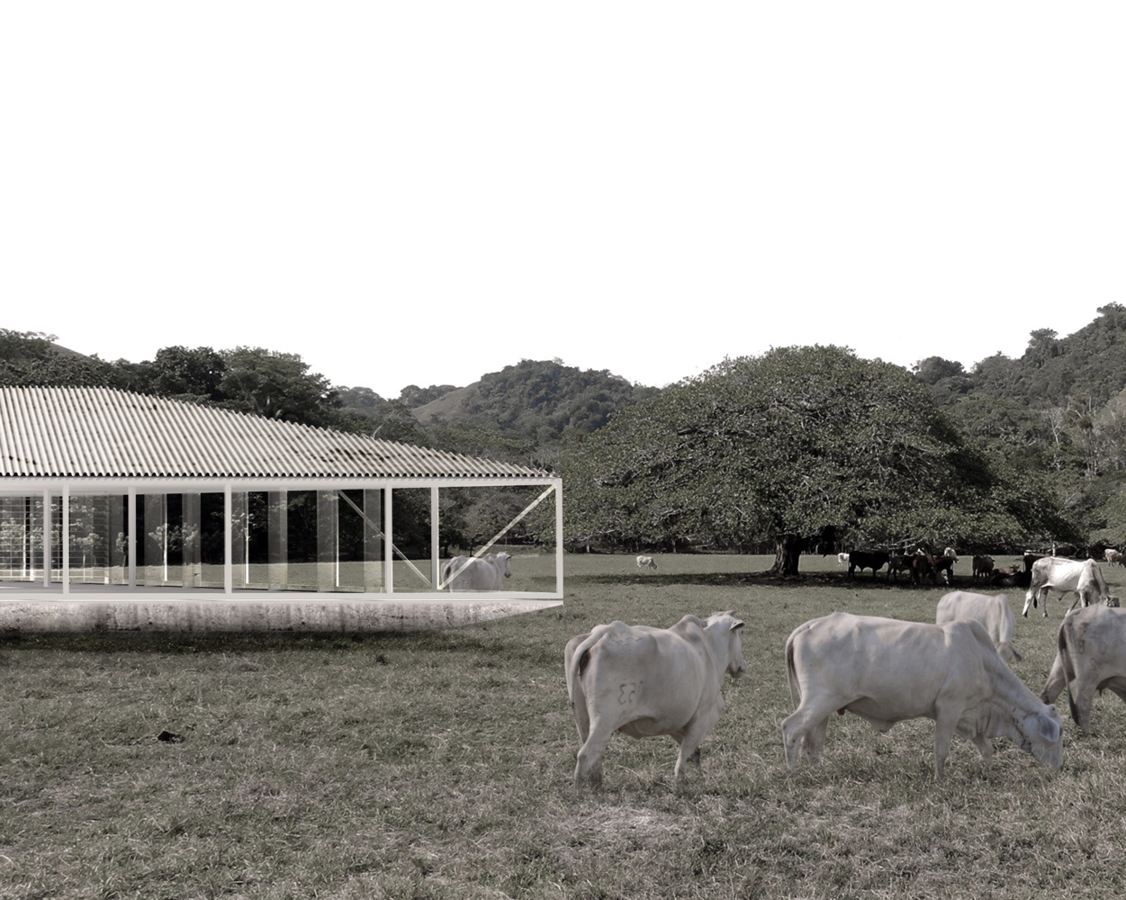 Jícaro House · 山丘之上的生态住宅设计-8