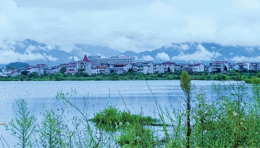 浙西南生态多样性研究所丨中国衢州丨同济大学建筑设计研究院（集团）有限公司-4