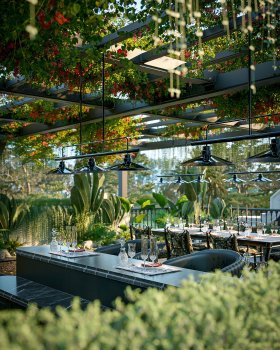 Exterior Rooftop garden Mr Nghia