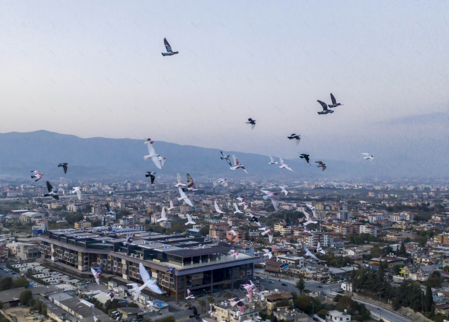 安塔基亚博物馆酒店-44