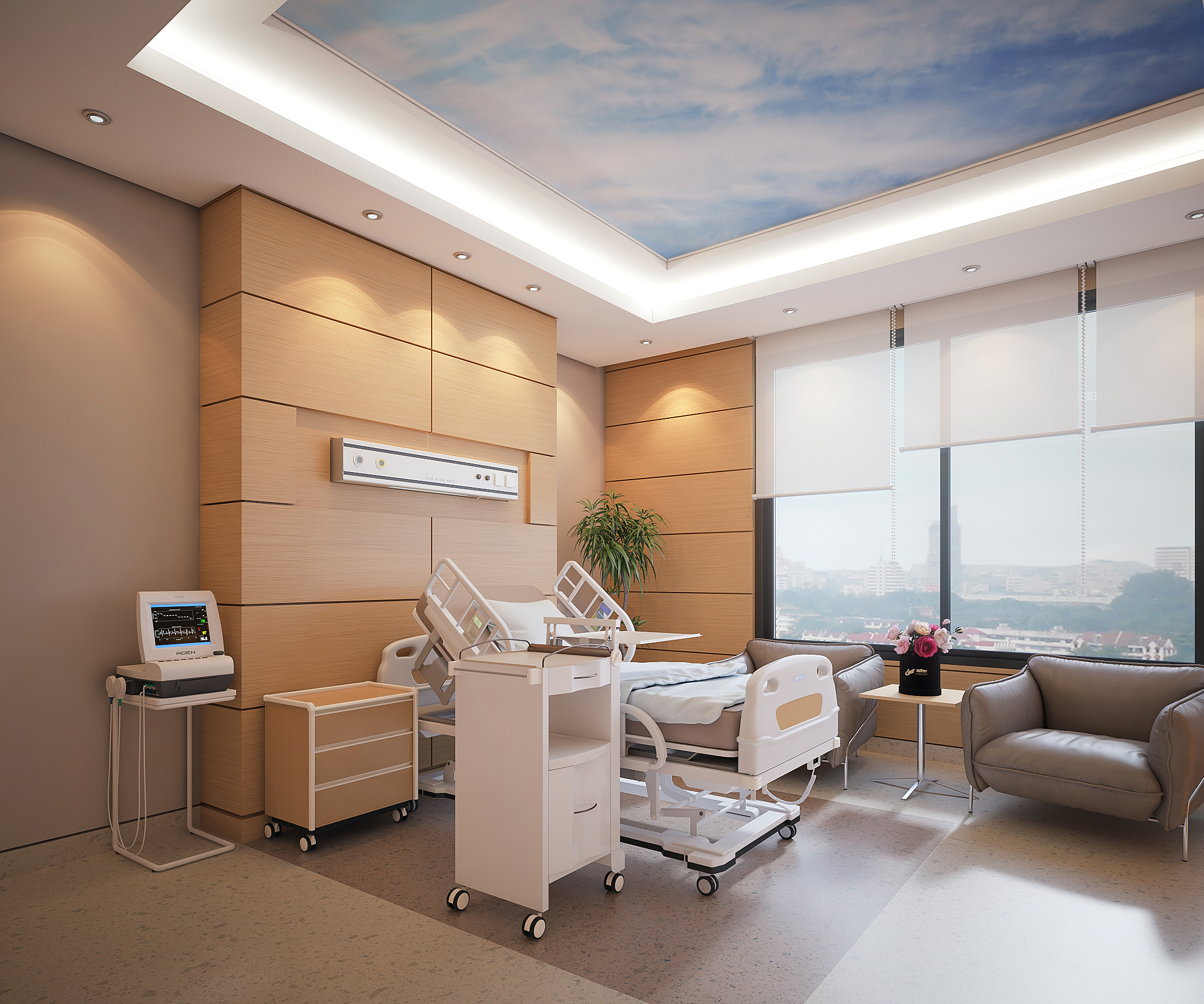 Luxury Hospital Suite Room-0